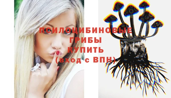 соль курить ск Алзамай