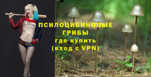 соль курить ск Алзамай