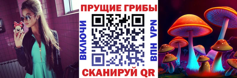 Купить закладки  Сухиничи  Псилоцибиновые грибы прущие грибы 